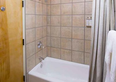 Bathtub and shower with tiled background and shower curtain