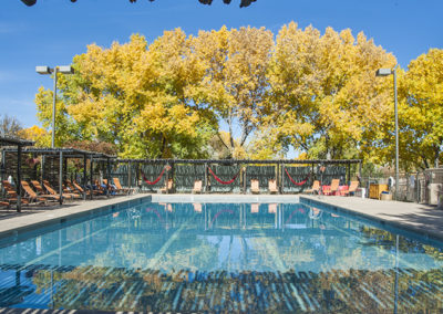 Outdoor pool with deck chairs and large trees in background