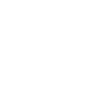 Icon Illustration of Hiking Boot