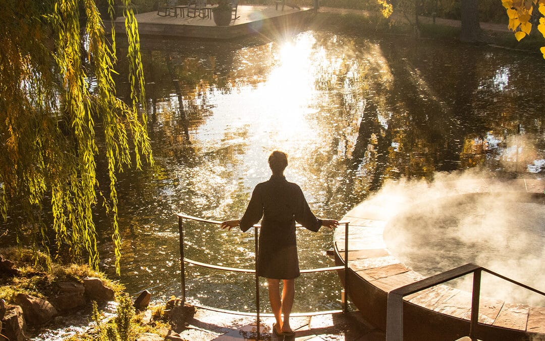 NM Neighbors Save 20%