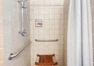 Plaza Suite ADA Shower with grab bars and stool